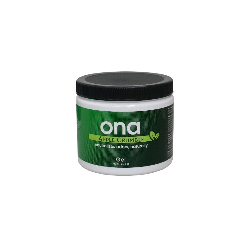 Gel Apple Crumble 1L 732 GR ONA