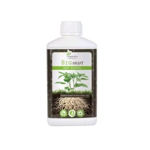 Big Start 500ml Organics Nährstoffe Organics Nutrients