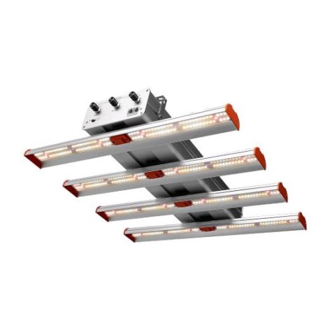 Resina Q Bar 250 Phytolite