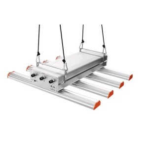 Resina Q Bar 250 Phytolite