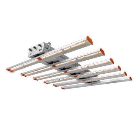 Resina Q Bar 500 Phytolite