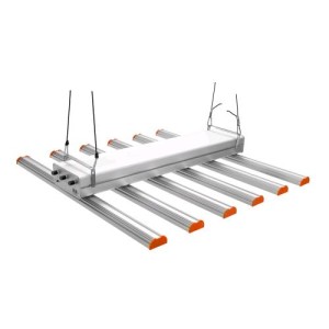 Résine Q Bar 500 Phytolite