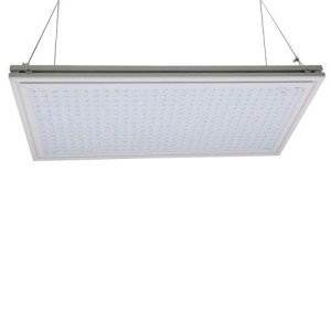 Tableros Micro de Resina 60 Phytolite
