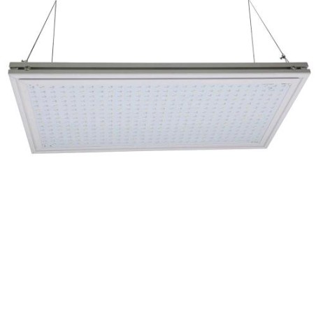 Resina Micro Boards 60 Phytolite
