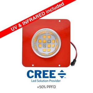 Module de mise à niveau NX2 Cob 30W Cree Xte Cycle Complet (BLANC) Phytolite