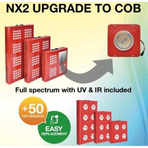 NX2 Upgrade Modulo COB 30 Watt Cree XTE Full Cycle Bianco Phytolite