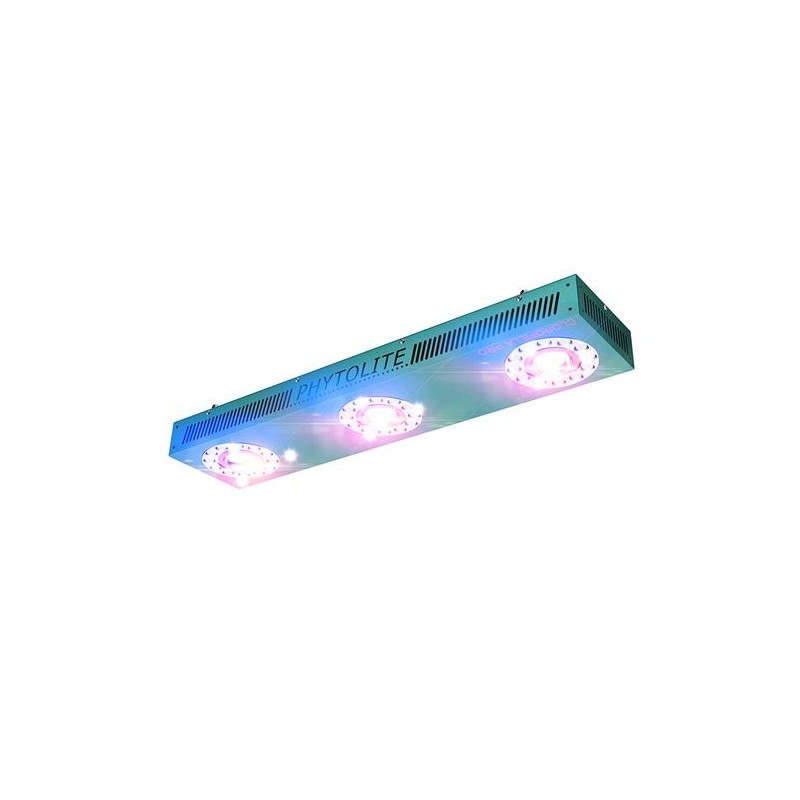 Cree 3070 250 Chlorophyll LED Lampe Pro Phytolite