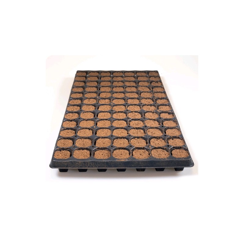 Nextgen Growplug Tray FOR 84 Sealed Plugs Plagron