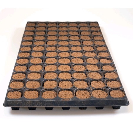 Nextgen Growplug Plateau POUR 84 Prises Scellées Plagron