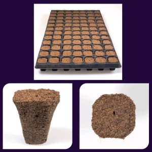 Nextgen Growplug Tray FOR 84 Sealed Plugs Plagron