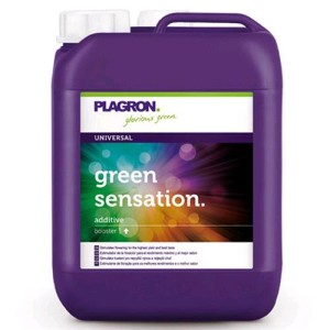 Green Sensation 20 L Plagron