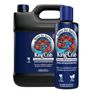 King Crab 946ml Plant Success