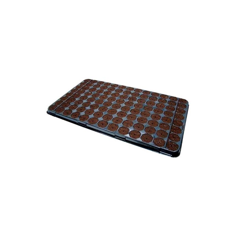 Tablett 104 Würfel AUS Kokosnuss Feuchtigkeit 86% 3.5 X 4.3cm PLUGIN PRO