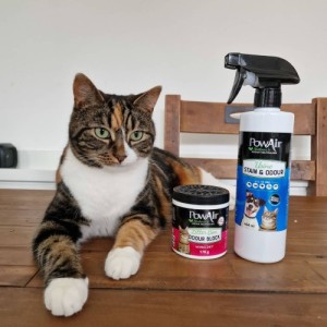 Odor Eliminator Block for Litter 170GR Pow Air