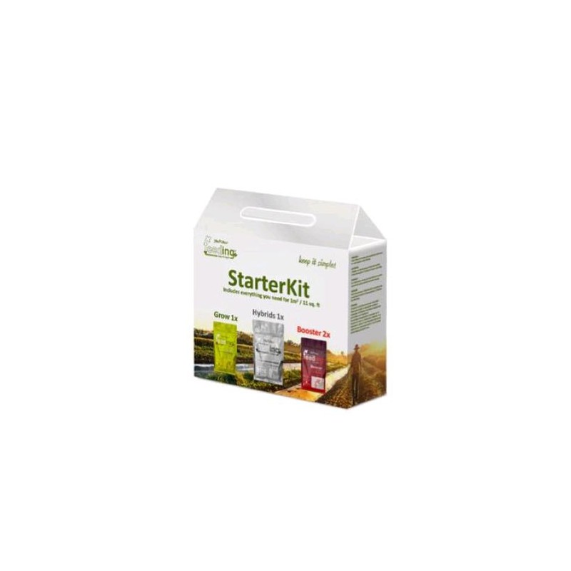 Kit de inicio mineral nueva fórmula Powder Feeding