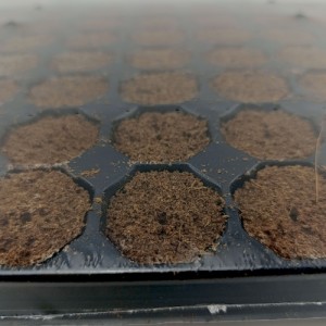 Tray 104 Humid Cubes H 3.5cm Plug Professional Cultivation Radix Pro
