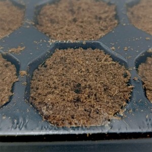 Plateau 104 Cubes Humides H 3.5cm Plug Cultivation Professionnelle Radix Pro