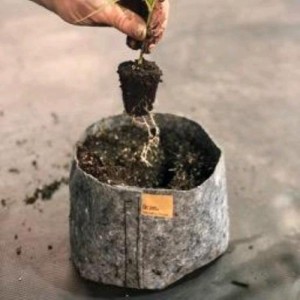 Vaso In Tessuto Charcoal 30L Root Pouch