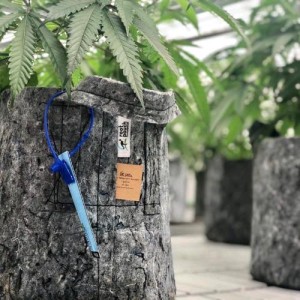 Stofftopf Grau 3.8L Root Pouch