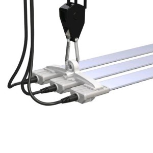 Cosmorrow Power 3X20 Watt UE/UK/US Secret Jardin