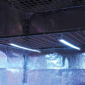 Cosmorrow Power 1X40W UE/UK/US Secret Jardin