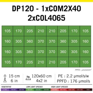 Cosmorrow Power 2X40W UE/RU/US Secret jardin