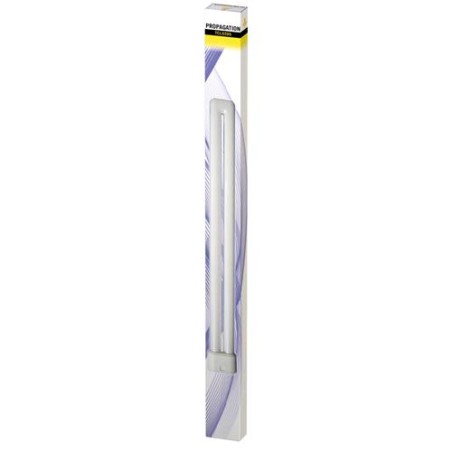 T5 Neon Tube 55W Propagation 9500°K Secret jardin