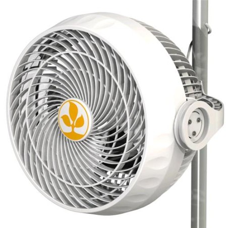 Monkey Fan 30 Watt Secret Jardin