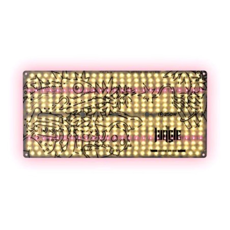 Quantum Board The Jackson LT 250W The Jungle