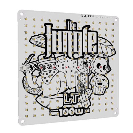 Quantum Board The Jackson LT 100W The Jungle