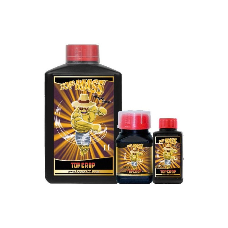 Top Mass 1L Top Crop