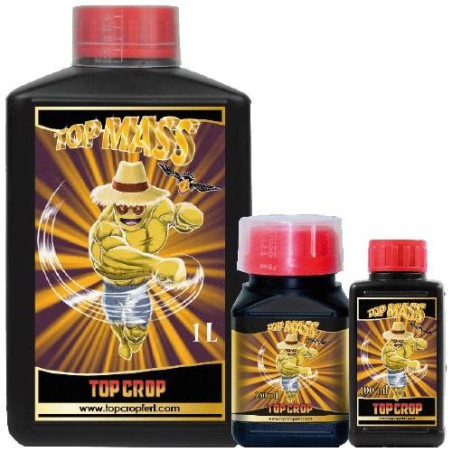 Top Mass 1 L Top Crop