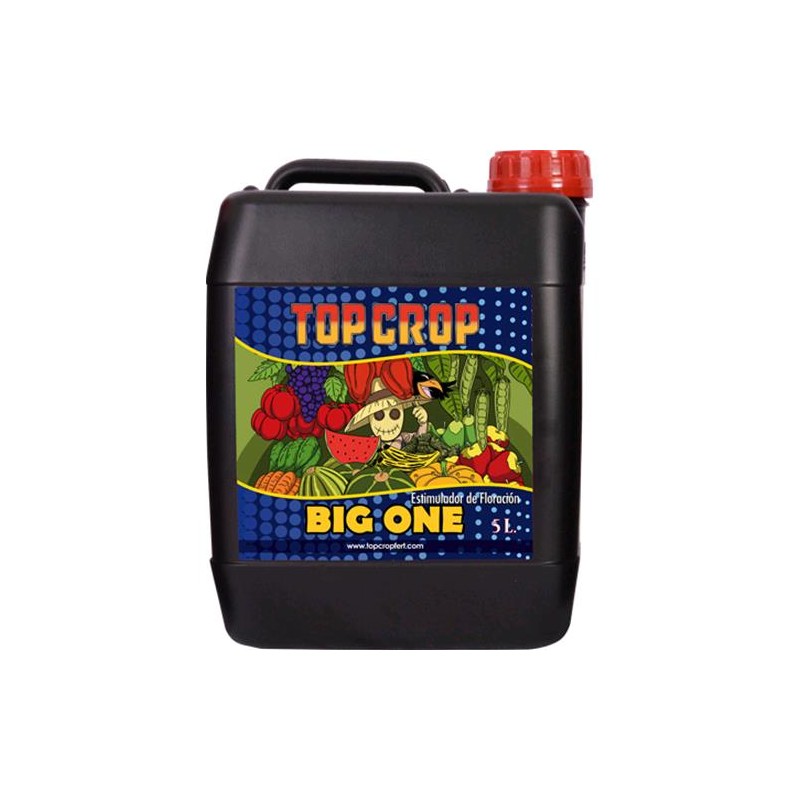 Big One 5 L Top Crop