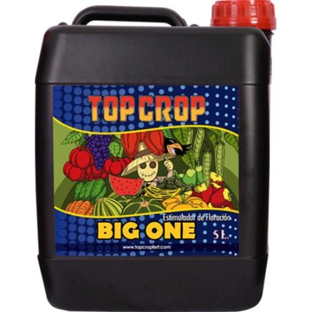 Big One 5L Top Crop