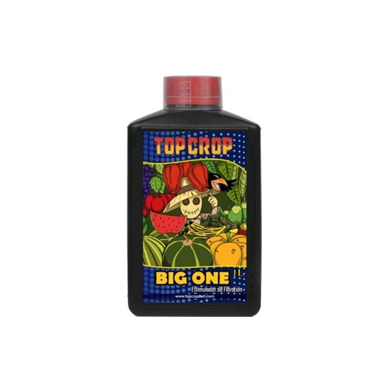 Big One 1L Top Crop