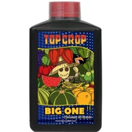 Big One 1L Top Crop