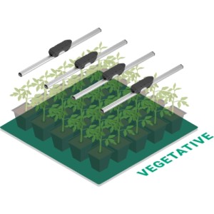 Thinkgrow Tdc 1+EC240 Câble d'Alimentation Splitter Inner Canopy TrolMaster