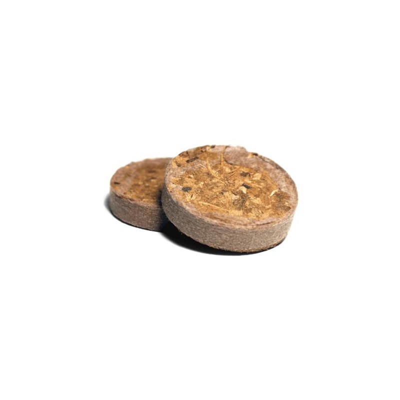 Jiffy Disque Coco Rhiza 3.8 mm 75ml Boîte 1000 Pcs UGro