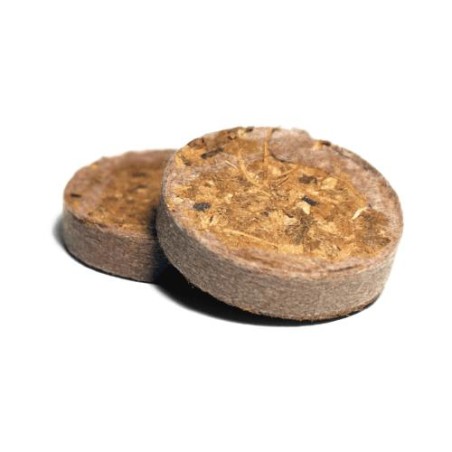 Jiffy Coco Disc Rhiza Bulk 3.0 mm 70ml Box 1000 Pcs UGro
