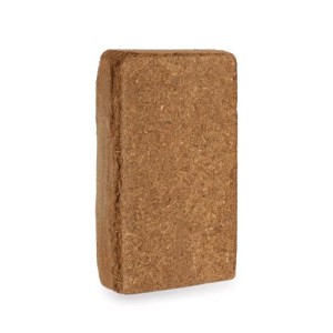Small Basic 11 L UGro