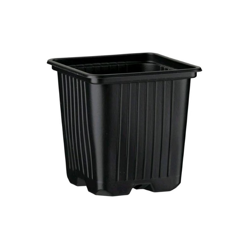 Vaso Quadrato 0,35 L in Plastica Termoformata 8X8X8 cm Desch