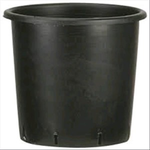 Vaso Rotondo 15 L 28X28 cm P & B