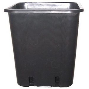 Vaso Quadrato 11 L in Plastica Nero 23X23X26 Bancale 2250 Pezzi P & B