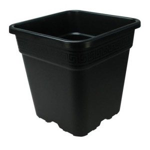 Square Pot IN Black Plastic More Durable 25X25X25.5 11 Litres P & b