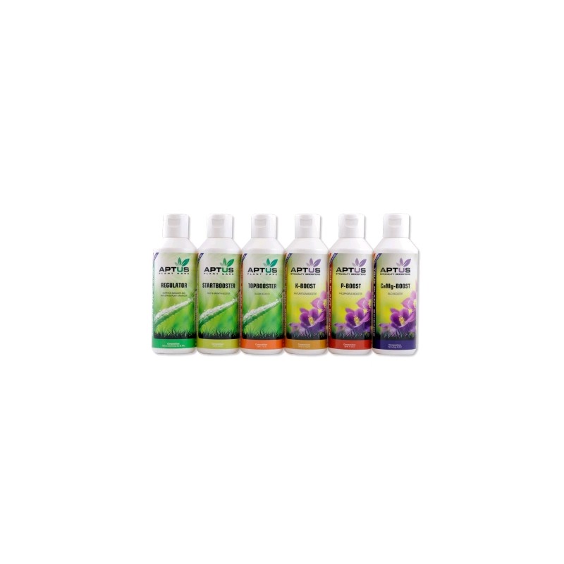 Indoor Set Pro 6 X Verschiedene Aptus