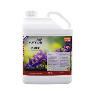 P-Boost 5 L Aptus