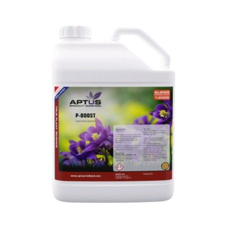 P-Boost 5 L Aptus