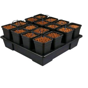 Grow System 16 Xxl (16X11L) 115X115X20CM Wilma