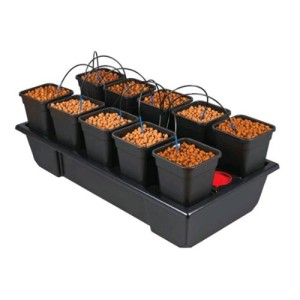 Système de Culture 10 Small Wide (10X6.5L) 120X60X20CM Wilma