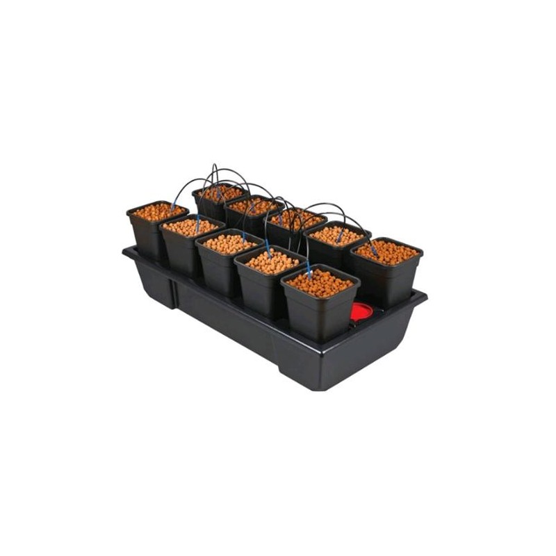 Grow System 10 Small Wide (10X6.5L) 120X60X20CM Wilma